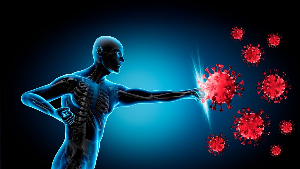 How the Immune System Protects Your Body Every&nbsp;Day